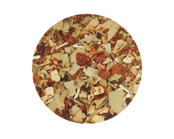 Rooibos Equinácea y Eucalipto