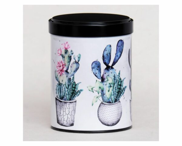 Lata Cactus