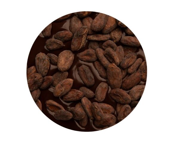 Chocolate Nugu 100% Cacao - Imagen 2