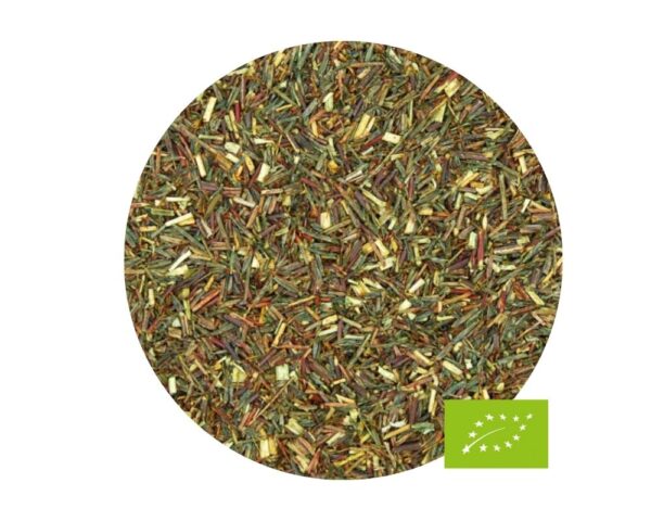 Rooibos Verde Ecológico